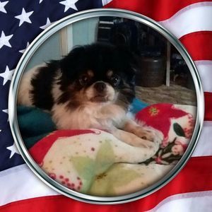 Meet your Posher, Wanda